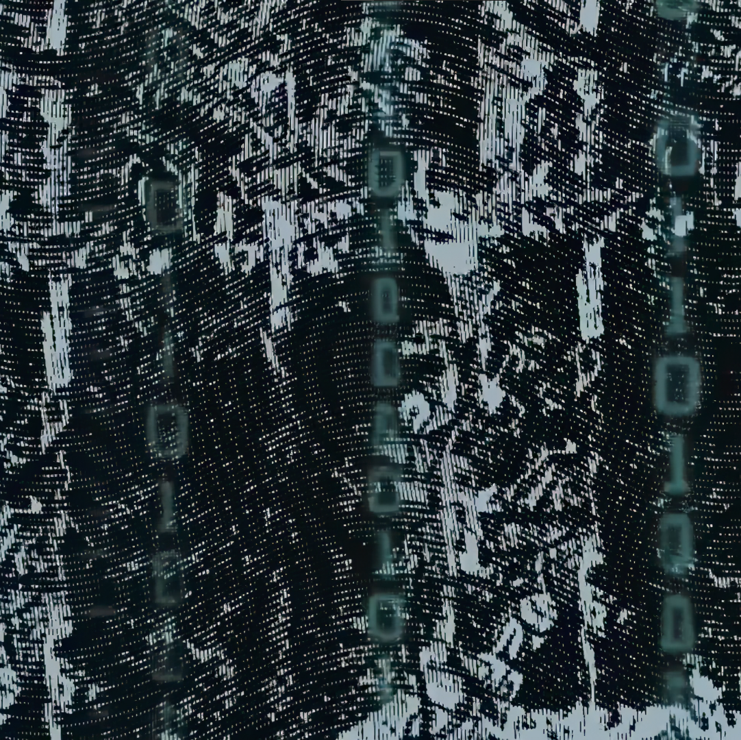 Анна Синица